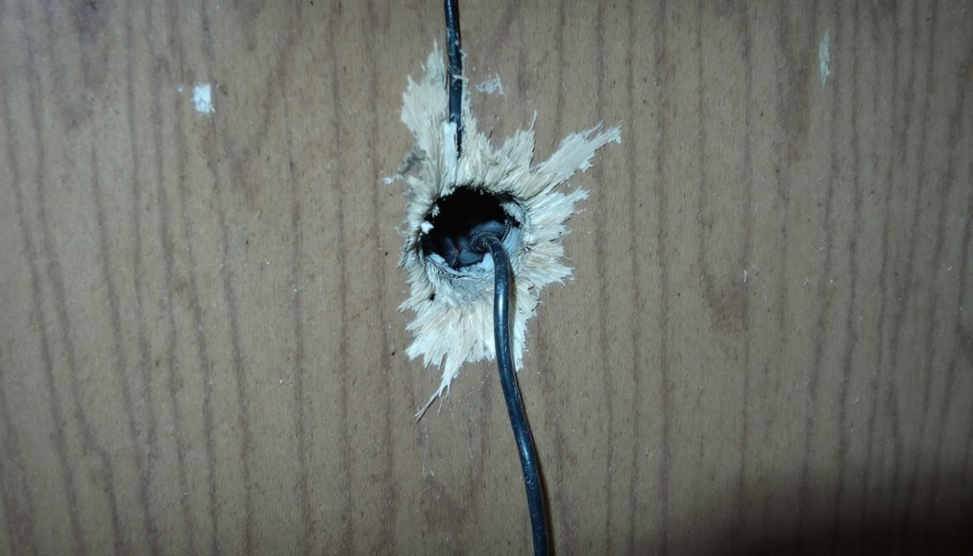 Comment identifier une infestation de rongeurs chez soi ?